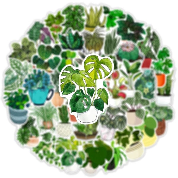 Set med Klistermärken - Växter - 50 st multifärg