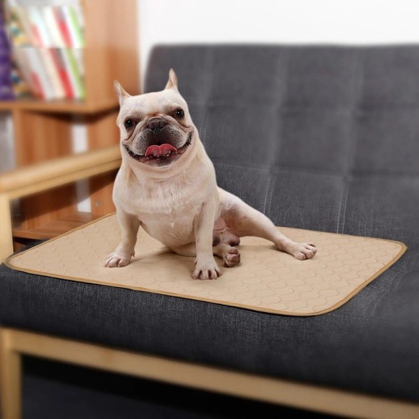 Absorberande Matta till Hund grå