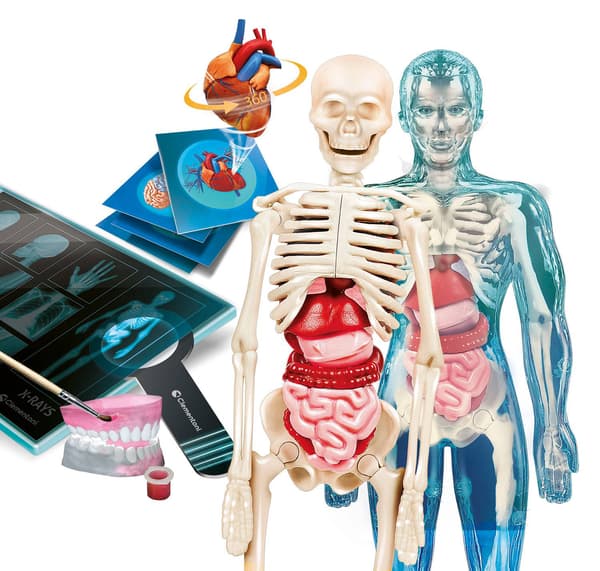 Clementoni Super Anatomy Science Set