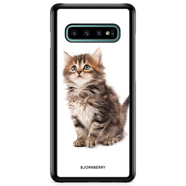 Bjornberry Skal Samsung Galaxy S10 - Söt Kattunge