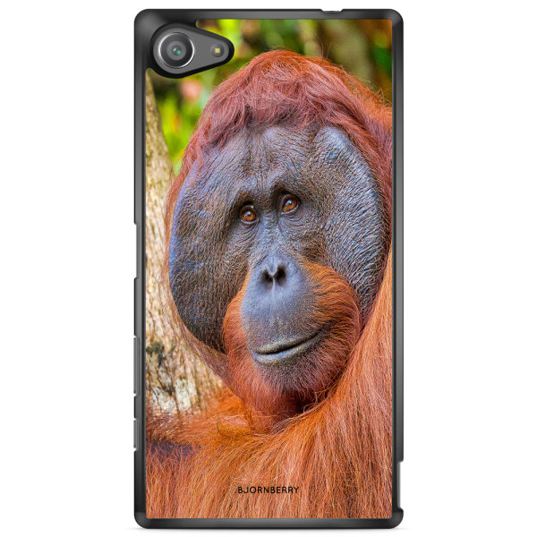 Bjornberry Skal Sony Xperia Z5 Compact - Orangutan