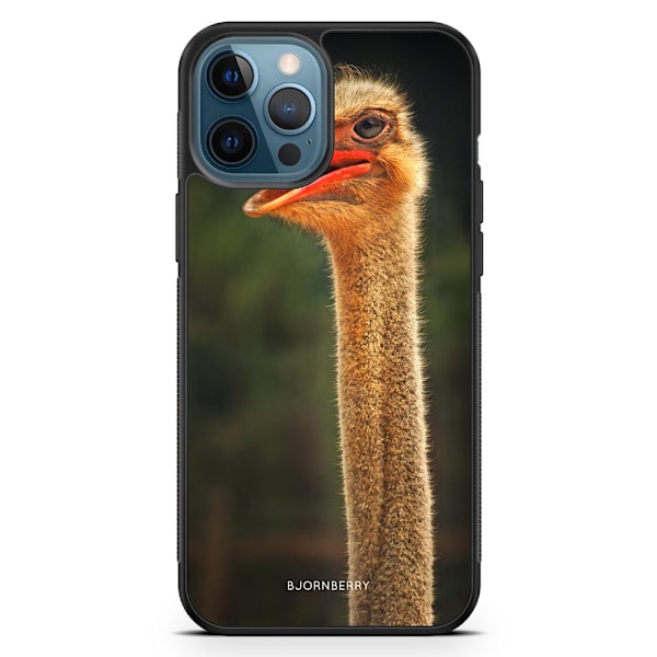 Bjornberry Hårdskal iPhone 12 Pro - Struts