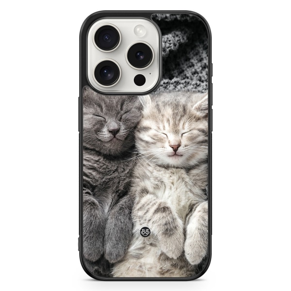 Bjornberry Skal iPhone 15 Pro - Vilande Katter