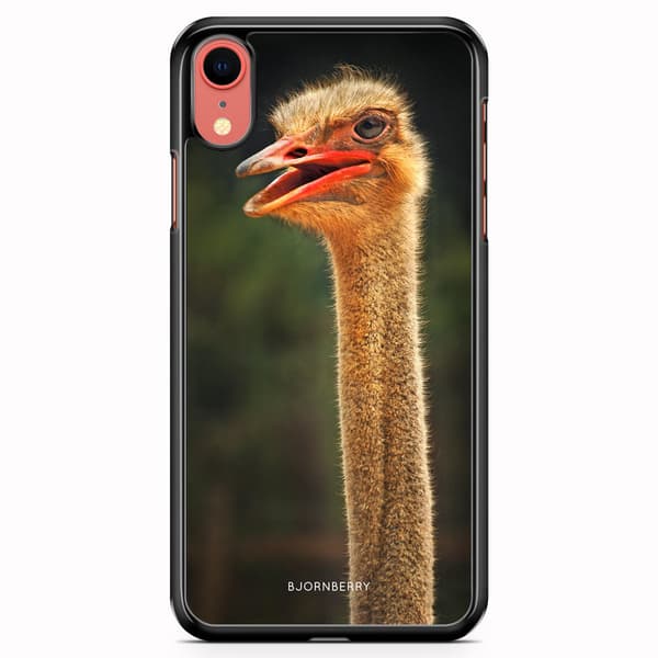 Bjornberry Skal iPhone XR - Struts