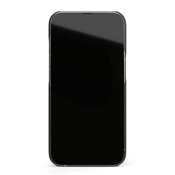Naive iPhone 13 Pro Skal - Snow Leo