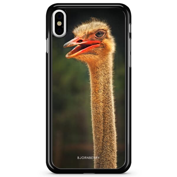 Bjornberry Skal iPhone X / XS - Struts