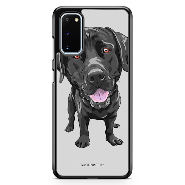 Bjornberry Skal Samsung Galaxy S20 - Labrador