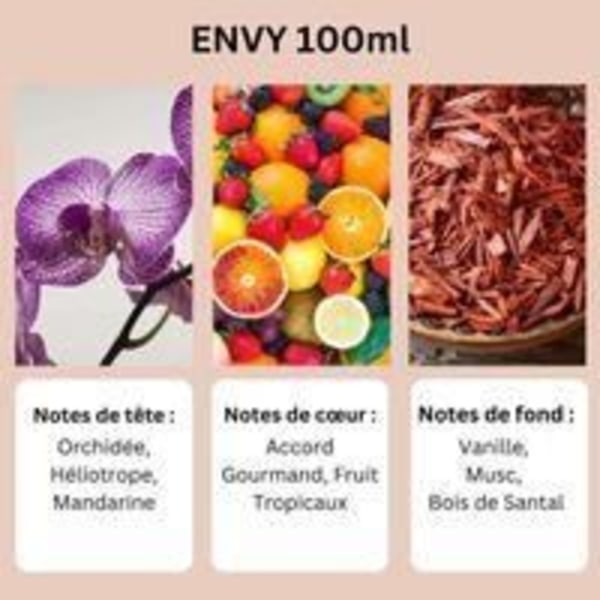 Envy Eau de Parfum 100 ml Ayat-parfumer - lavet i Dubai med noter af vaniljemusk, frugt og træagtigt - EDP Oriental Women