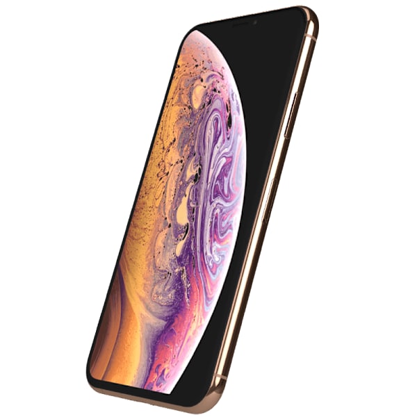 iPhone XS Gold 256 GB Klass B 100% batteri (refurbished)