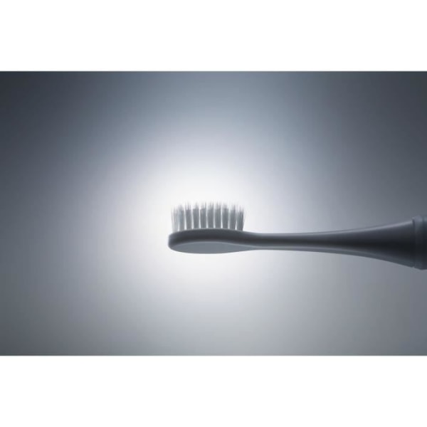 PANASONIC EW-DM81-W503 Elektrisk tandborste 2 borsthuvuden