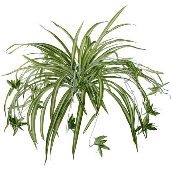 RYI_2-pak Kunstige Blomster Edderkoppeplanter Falske Silkeblomster Faux-4-