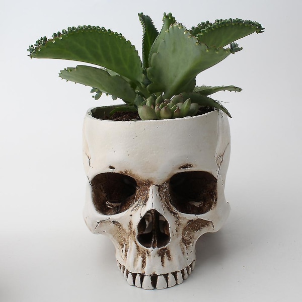 Skull Desktop Flowerpot Creative Home Gardening Pustende blomsterpottebeholder Office Desktop Flowerpot