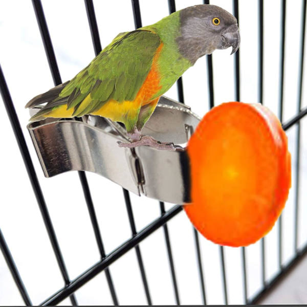 Lintujen lemmikkieläinten ruokakupit Papukaija lintuhäkin kiinnikkeet Lintujen hedelmäsyöttölaite Lintujen ruokakupit Papukaija lintuhäkin Kanarianvarpusen tarvikkeet 2 kpl