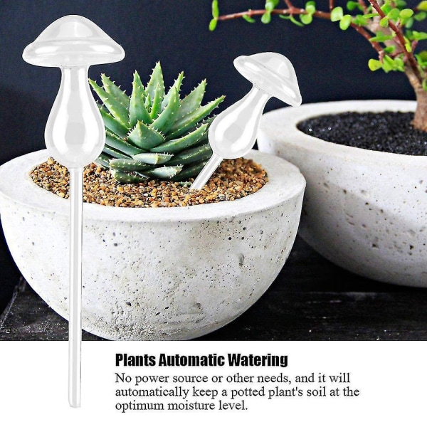 Stueplanter Blomster Automatiske selvvandingsanordninger Klart glas Vandføder Svampeform Haveværktøj