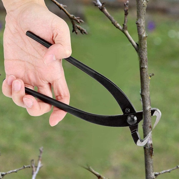 Stammedeler med Ergonomisk Håndtak Grenkutter Profesjonelle Bonsai Verktøy Hageplanter Beskjærer (1 stk)