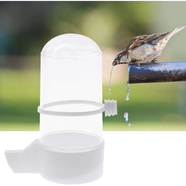 Bird Waterer Drinker, Budgie Canary Finch Food Dispenser Hållbar och praktisk utfodring av husdjur