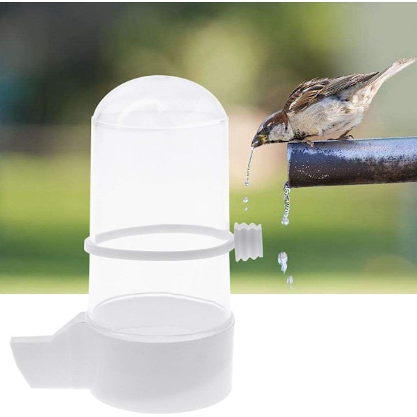 Lintujen juoma-astia, Budgie Canary Finch -ruokailulaite Kestävä ja käytännöllinen lemmikkieläinten ruokinta