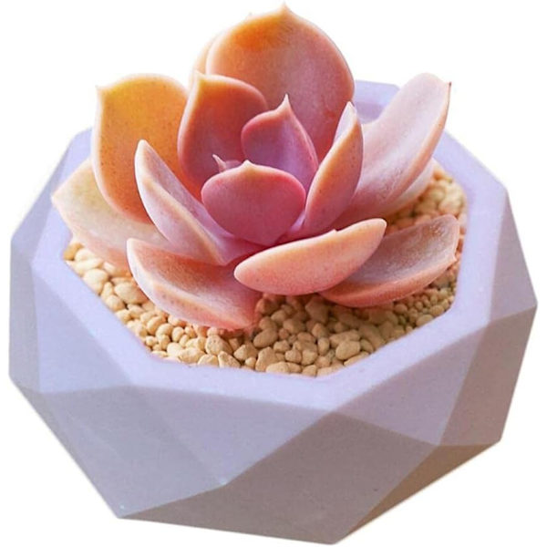 Keramisk Lerform DIY Silikon Sukkulenter Plante Beton Plantepotte Vase Former Håndlavet Håndværk Kage Pizza Gele Mikrobølgeovn og Fryser Form (Diamant)