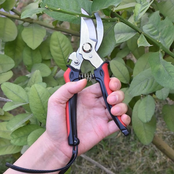 Haveknive og Saks til Havearbejde Rustfrit Stål Håndhavekniv Skarp Beskæringsblad Saks til Gartneri Beskæring Plukning Trimning