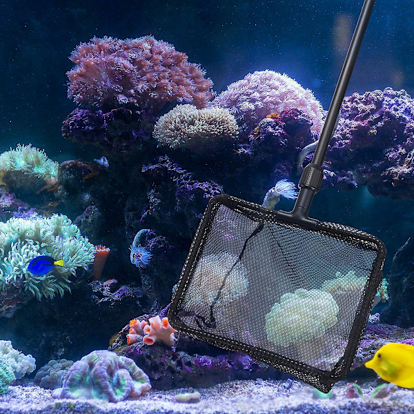 Stort Fiskenät Akvarienät Fint Fiskenät Akvarienät Fiskuppfödningsnät Svart Black