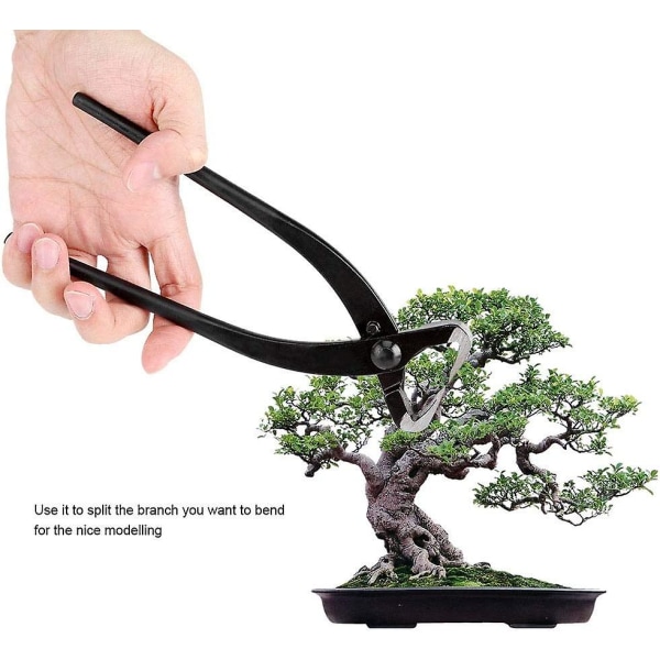 Stammedeler med Ergonomisk Håndtak Grenkutter Profesjonelle Bonsai Verktøy Hageplanter Beskjærer (1 stk)