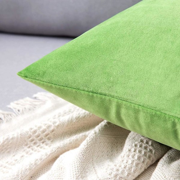 Sæt af 2 Dekorative Fløjls Pudebetræk Sofa Pudebetræk Super Glat Blød Behagelig Dekoration Hjem Stue Soveværelse Til Sofa 35x35cm Jam