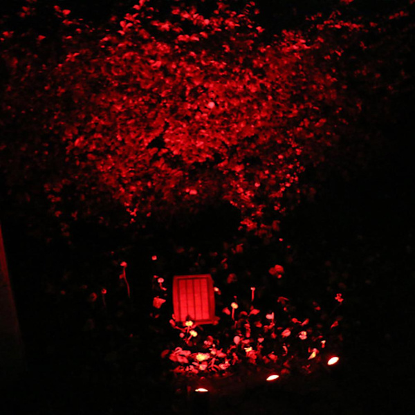 LED Färgglada Utomhus Solcellsbelysning Vattenbeständig Floodlight Trädgårdsbelysning Dekorationsbelysning