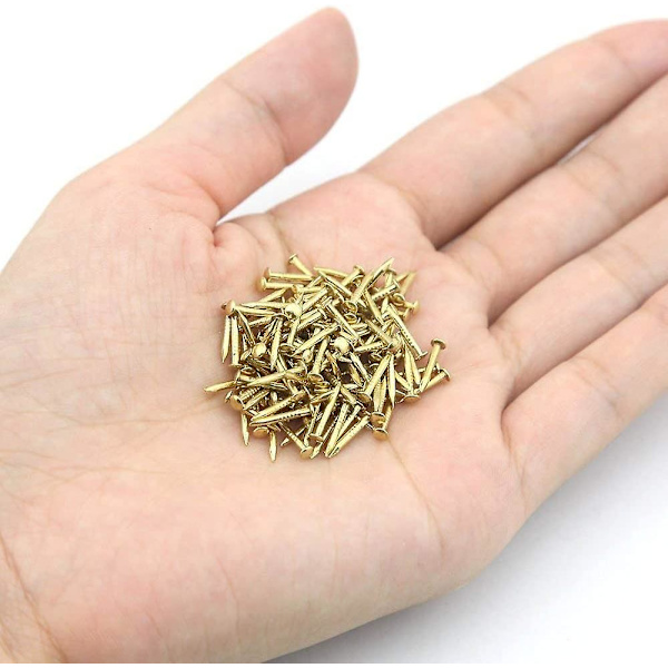 Små Søm Runde Hoved Små Søm String Art Søm Håndlavede Hardware Tilbehør Fastgørelseselementer Mini Søm 1500 stk 1 X 10mm Guld