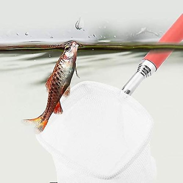 Akvarium Håndnet Fiske Håndnet Udtrækkelig Teleskopisk Fiske Rejer Håndnet Med Rustfrit Stål Håndtag Til Akvarium Fisketank Fisk Rejer (re