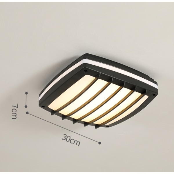 Vedenpitävä LED-kattovalo, LED-kattolamppu IP65 olohuoneeseen, kylpyhuoneeseen, toimistoon, ulkokuistille ja muihin (30w + lämmin valo A)