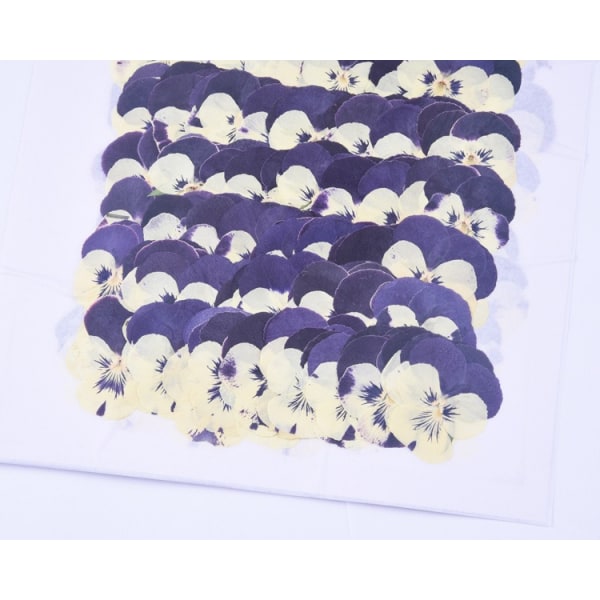 Naturlige Pressede Tørrede Blomster 24 Stykker Pressede Tørrede Blomster Til DIY