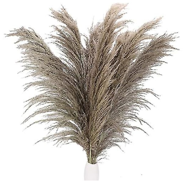20 kpl Pampas-ruohoa, Luonnollinen Kuivattu Boho Teko, Kimppu Hää