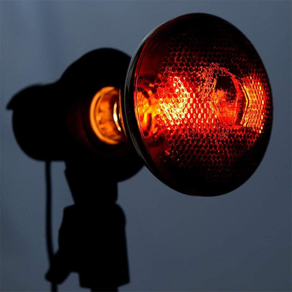 Sæt med 2 Infrarøde Pærer 150W Glas Madservice Rugende Kylling Kæledyr Bad Lys Terapi med Base Flood Light Pære