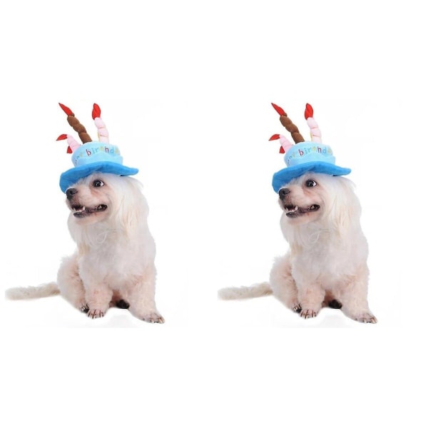 3st bedårande katt hund husdjur grattis på födelsedagen fest hatt med tårta och 5 färgglada ljus design cosplay C 2pcs
