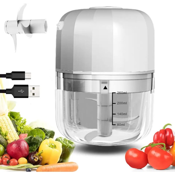 Elektrisk vitlökhackare, Mini Bärbar Grönsakshackare, 260ML Vitlöksmalare Mosare Lökhackare, Blender till Grönsaker, Trådlös F