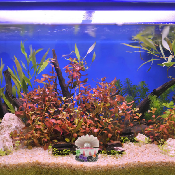 1 stk Boble Stein Akvarium Skall Dekor Luft Akvarium Dekorasjoner Akvarium Fiske Tank Ornamenter Skall Akvarium Dekor Akvarium