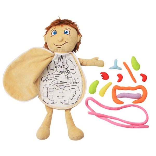 Squiz Toys Human Body Puzzle Kids Preschool Toy Kids Education Toy Educational Human Body Organs Ana