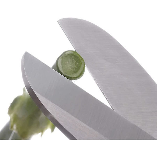 Hagebeskjæringssaks med komfortabelt grep, blomstersaks i stål, perfekt for blomsterarrangementer, beskjæring og trimming av planter (1
