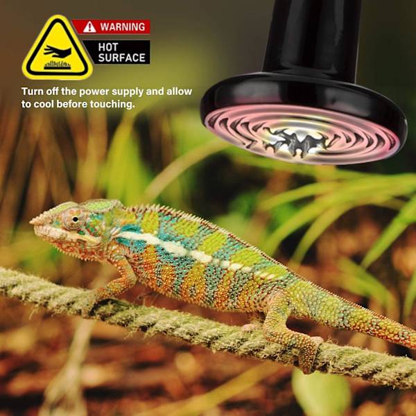 Infrarød Varmelampe, Reptil Lampe Terrarium Pære E27 6 X 7 Cm 100w 220-240v Sort Keramik Til Reptiler, Padder, Vivarium, Terrarium, Slange, Fugl