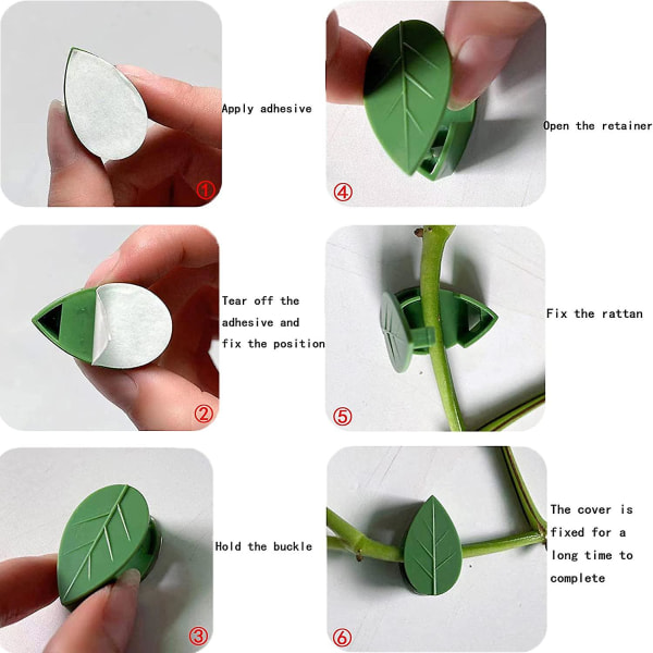 50 st Plantclips Klätterväxt Fästning Självhäftande Stöd Fästklämmor För Heminredning Klätterväxter