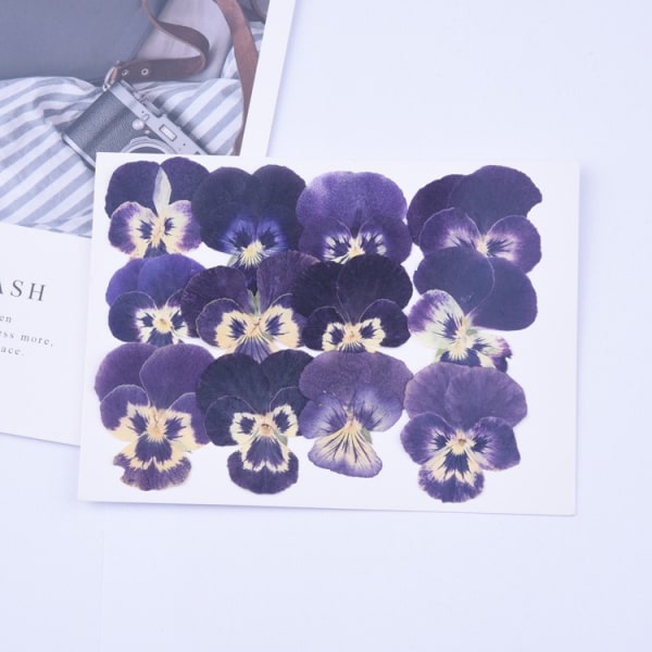 Flere tørkede blomster er presset tørre blader DIY Ekte presset tørkede blomster - Håndlagde bokmerker