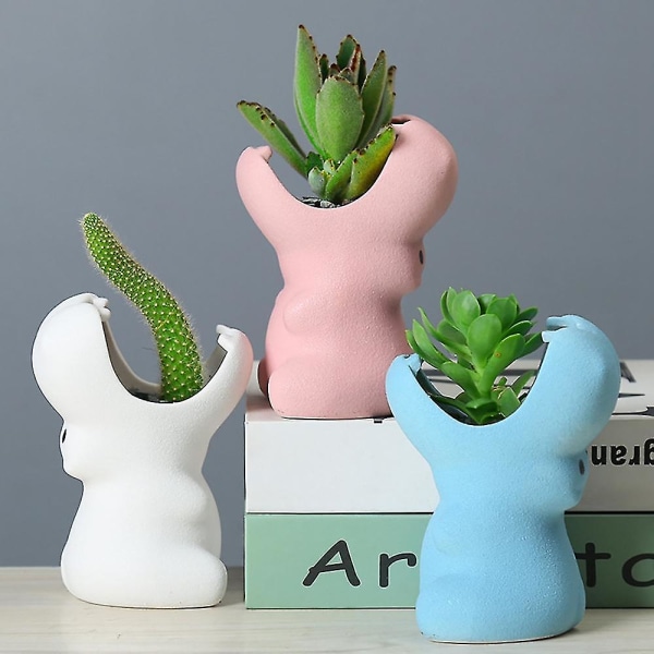 Tegneserie dyreformet keramisk sukkulent kaktus blomsterpotte kompatibel med hjemmehage kontor skrivebordsdekor flyt