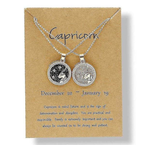 2 st/set Stjärntecken Mynt Kedja Hänge Halsband Födelsedag Par Smycken 12 Stenbocken 12 Capricorn