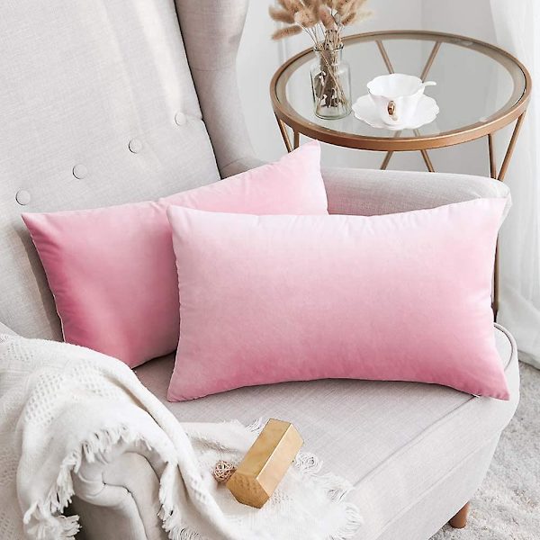 Set med 2 Sammetskuddfodral Dekorativa Soffa Kuddfodral Super Mjukt Mjukt Bekvämt Dekoration Hem Vardagsrum Sovrum För Soffa 65x65cm Ljus B