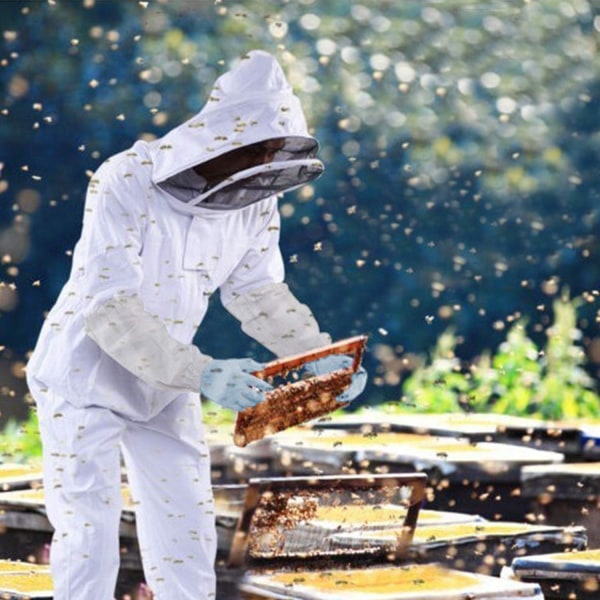 Mehiläishoitopuku Mehiläishoitaja mehiläishoitotakki lampaannahkakäsineillä ja tuuletetulla aidalla Huppu Ammattimainen mehiläishoitajapuku