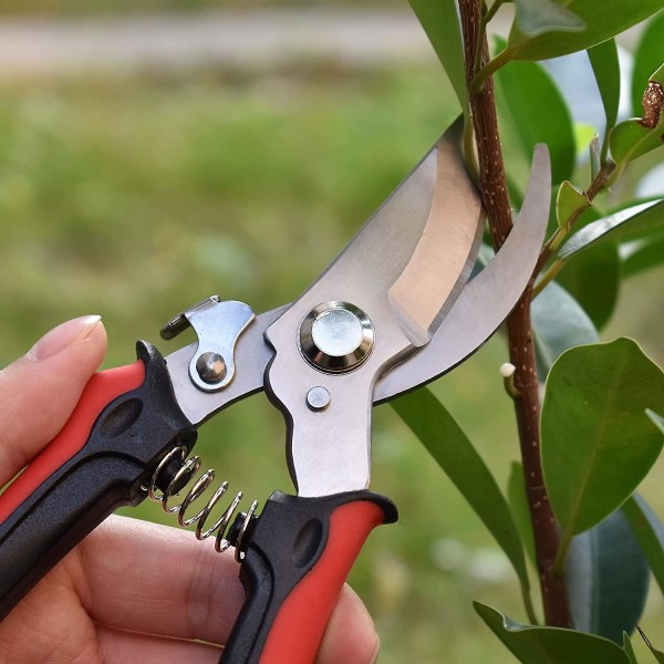 Trädgårdssaxar och sekatörer i rostfritt stål, handsekatör med skarpt blad, saxar för trädgårdsarbete, beskärning, plockning, trimning
