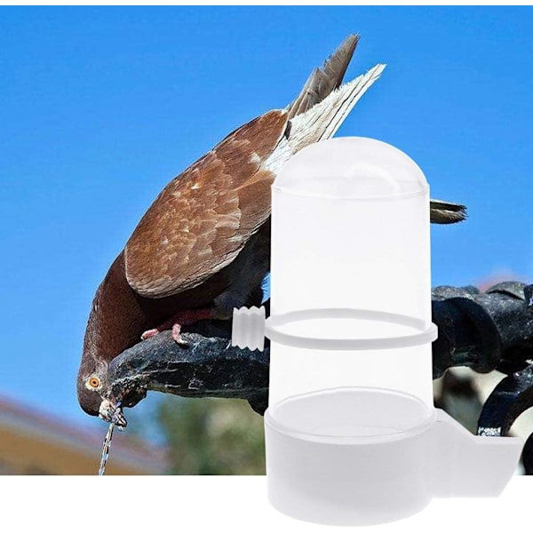 Lintujen juoma-astia, Budgie Canary Finch -ruokailulaite Kestävä ja käytännöllinen lemmikkieläinten ruokinta