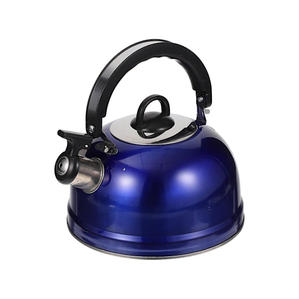 1 stk 3l Rustfritt Stål Tekanne Husholdningskokende Vannkjele Lydkjele Blå 22X19X18.5CM Blue 22X19X18.5CM