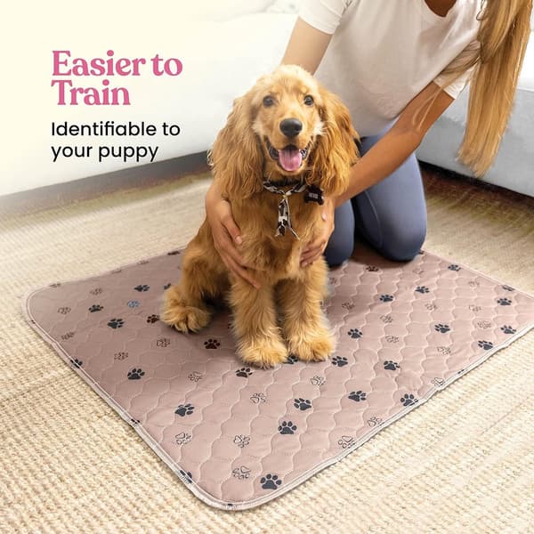 Vaskbar Genanvendelig Træningsmåtte til Kæledyr, Absorberende Skridsikker Polyestermåtte til Hunde og Katte, Pink, 70 x 100 cm