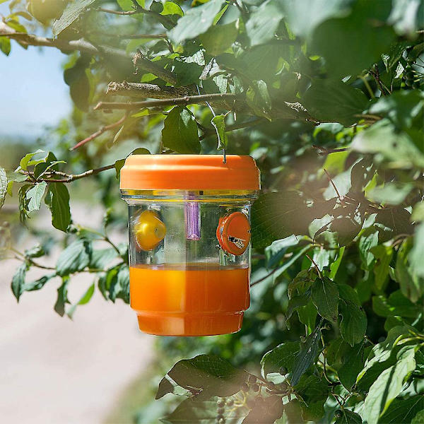 2-pack Sol-drivna Getingsfällor Hängande, Solcellsdriven Getingsdödare Med UV-LED-Ljus, Återanvändbar Bifångare Utomhus För Getingar Orange Orange